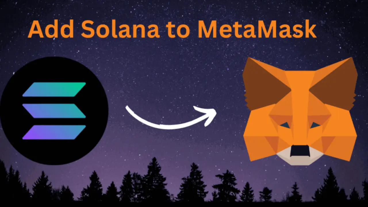 Cómo agregar token de Solana a Metamask 